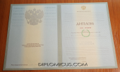 Диплом специалиста <br />2004-2008 год